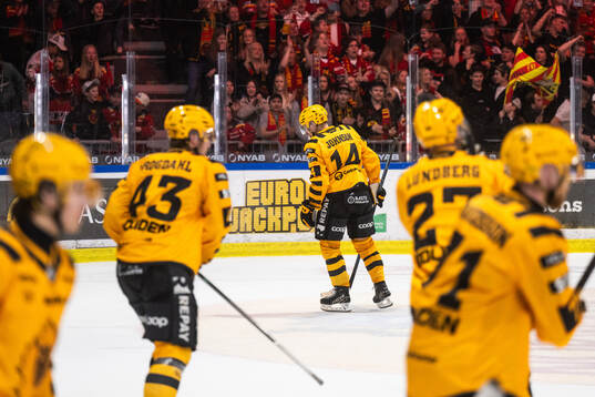 Skellefteås Andreas Johnson deppar