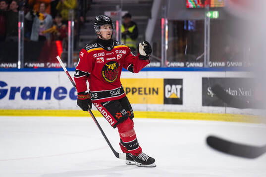 Luleås Jesper Sellgren jublar
