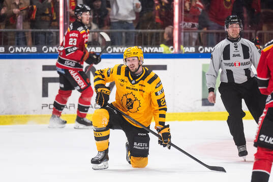 Skellefteås Martin Lundberg deppar