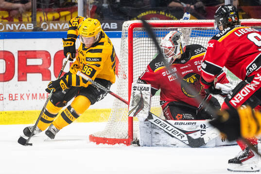 Skellefteås Rickard Hugg och Luleås målvakt Matteus Ward