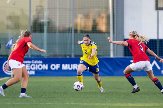 Nesrin Akgun of Sweden