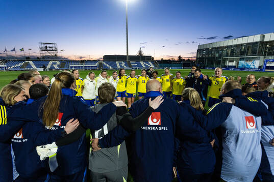 Players of Sweden