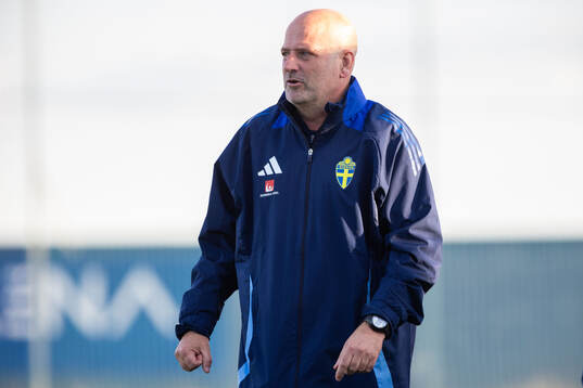 Head coach Magnus Wikman of Sweden