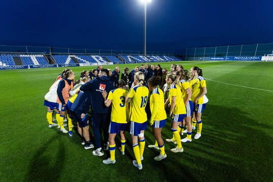 Players of Sweden