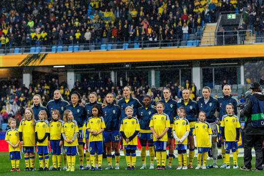 Players of Sweden