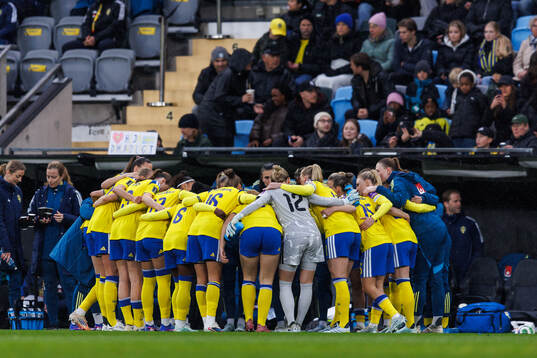 Players of Sweden