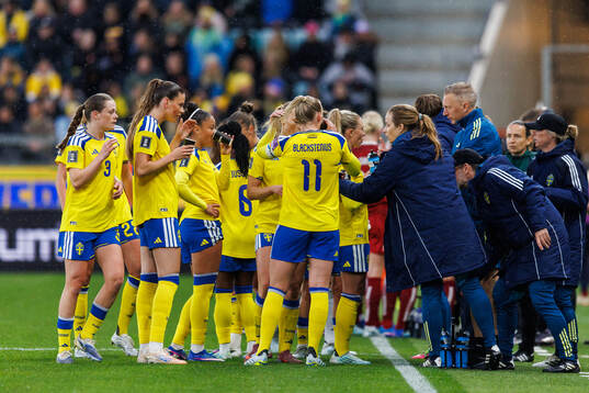 Players of Sweden