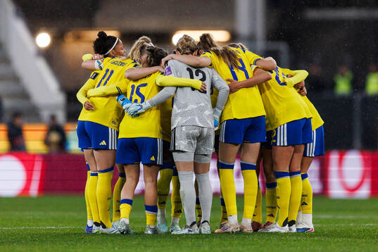 Players of Sweden gather