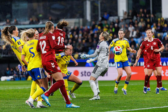 goalkeeper Jennifer Falk of Sweden