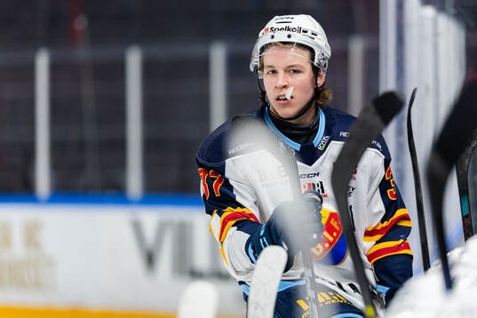Djurgårdens Fred Nord