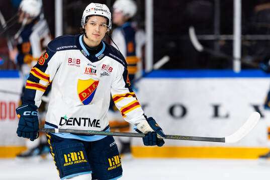 Djurgårdens Ted Tuomarila