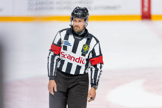 Domare Fredrik Börjesson-Tysnes