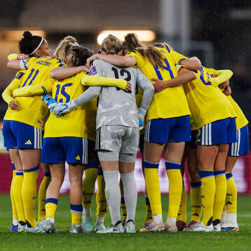 Players of Sweden gather