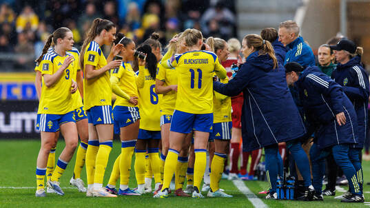 Players of Sweden