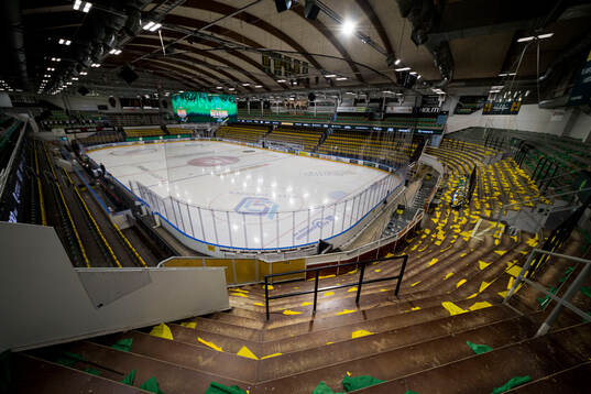 Visionite arena