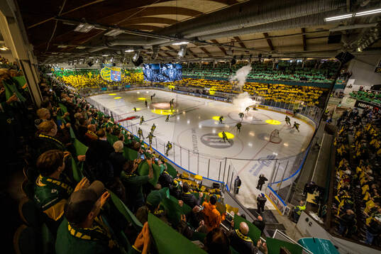 Visionite arena