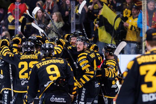 Skellefteås spelare jublar