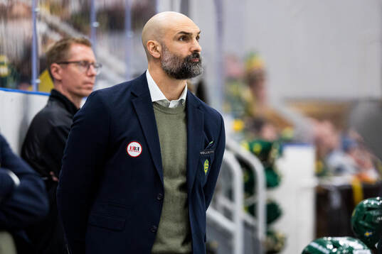 Björklövens assisterande tränare Daniel Rahimi