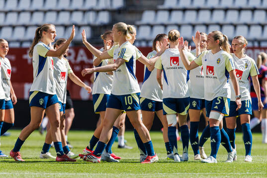 Players of Sweden