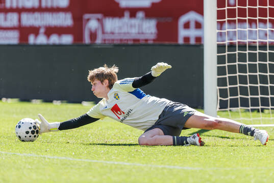 Goalkeeper Moa Edrud of Sweden