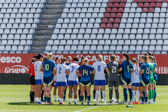 Players of Sweden