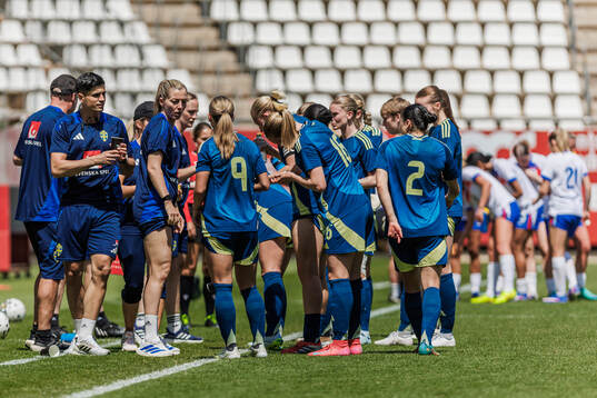 Players of Sweden