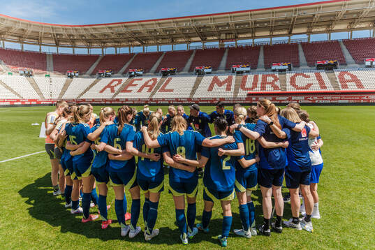 Players of Sweden