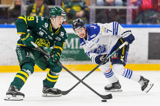 Björklövens Liam Dower Nilsson
