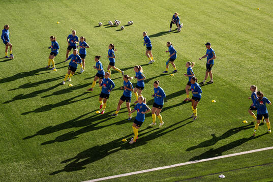 Players of Sweden
