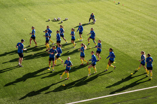 Players of Sweden