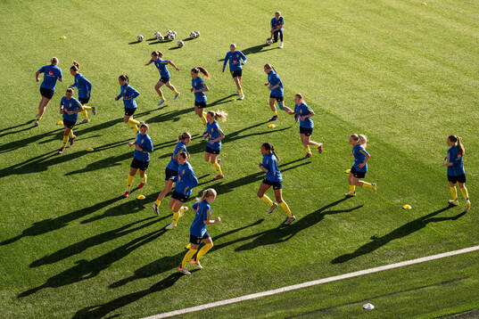 Players of Sweden