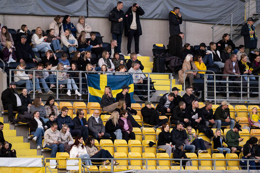 Spectators in the stands