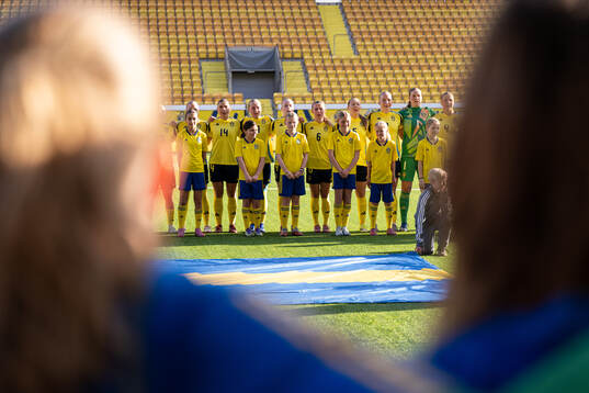 Players of Sweden