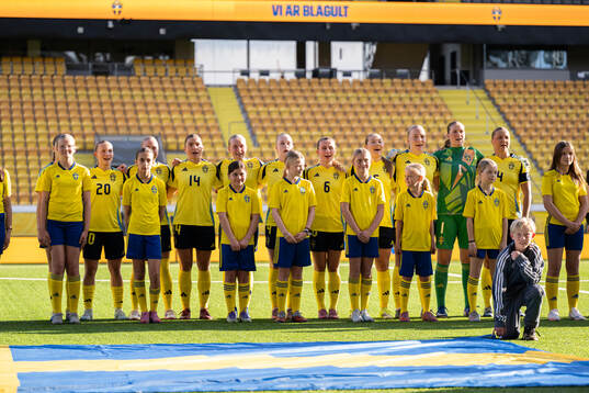 Players of Sweden