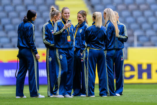 Players of Sweden