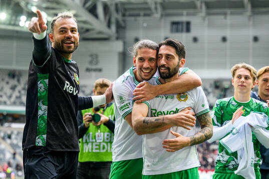 Hammarbys målvakt Warner Hahn, Nikola Vasic and Nahir