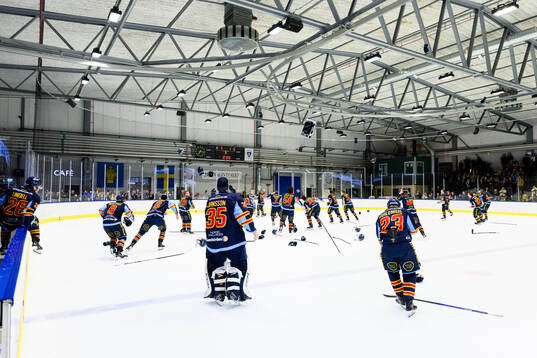 Djurgårdens spelare jublar