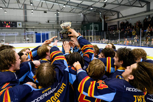 Djurgårdens spelare jublar