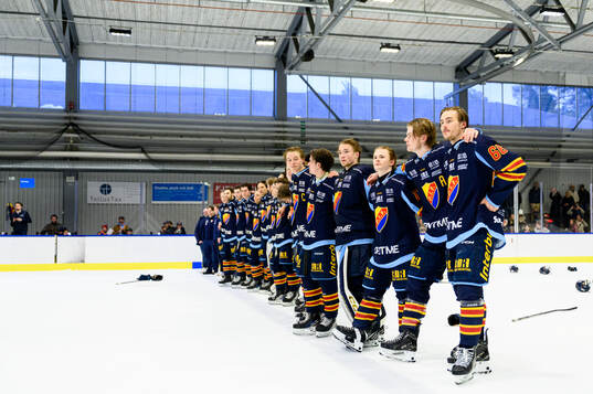 Djurgårdens spelare jublar