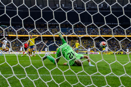 goalkeeper Jennifer Falk of Sweden