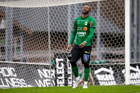 Varbergs Shanyder Borgelin