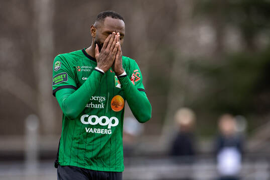 Varbergs Shanyder Borgelin