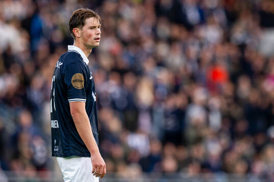 Henrik Falchener of Viking