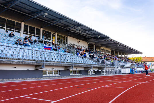 Spectators in the stands