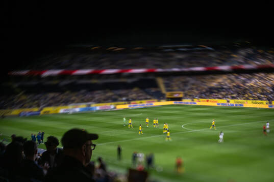 Players of Sweden