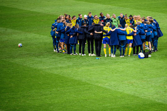 Players of Sweden