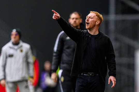 Helsingborgs manager Stevie Grieve