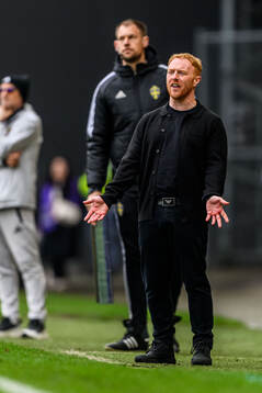 Helsingborgs manager Stevie Grieve