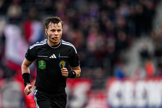 Domare Niclas Karlsson