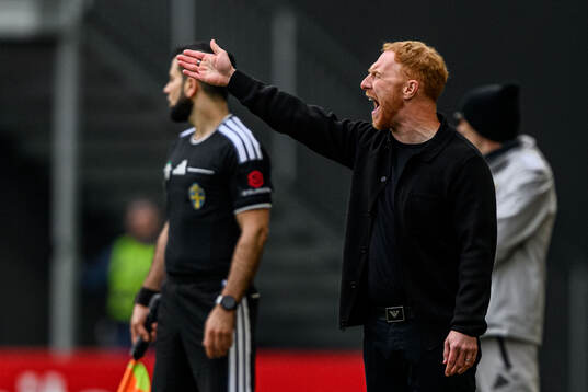 Helsingborgs manager Stevie Grieve
